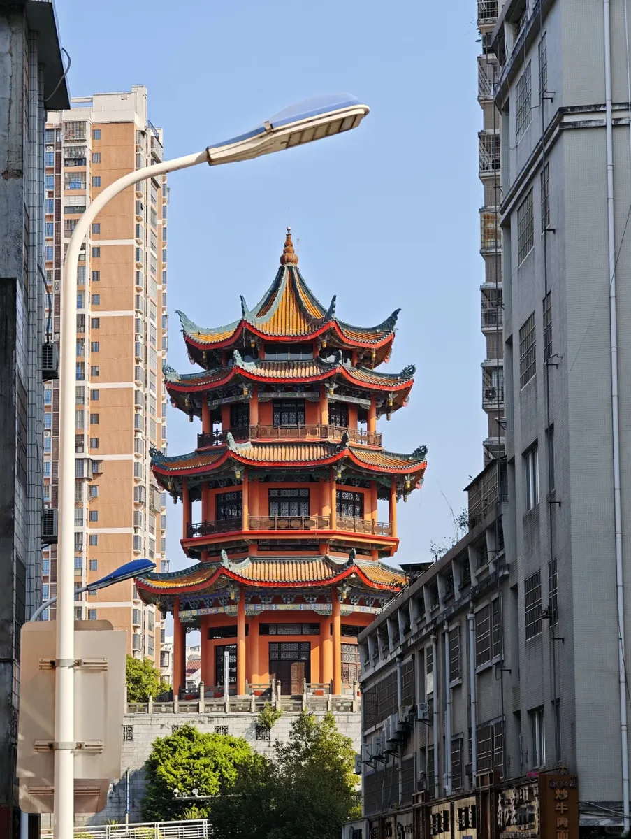 上海品茶网 世纪公园 实拍 2