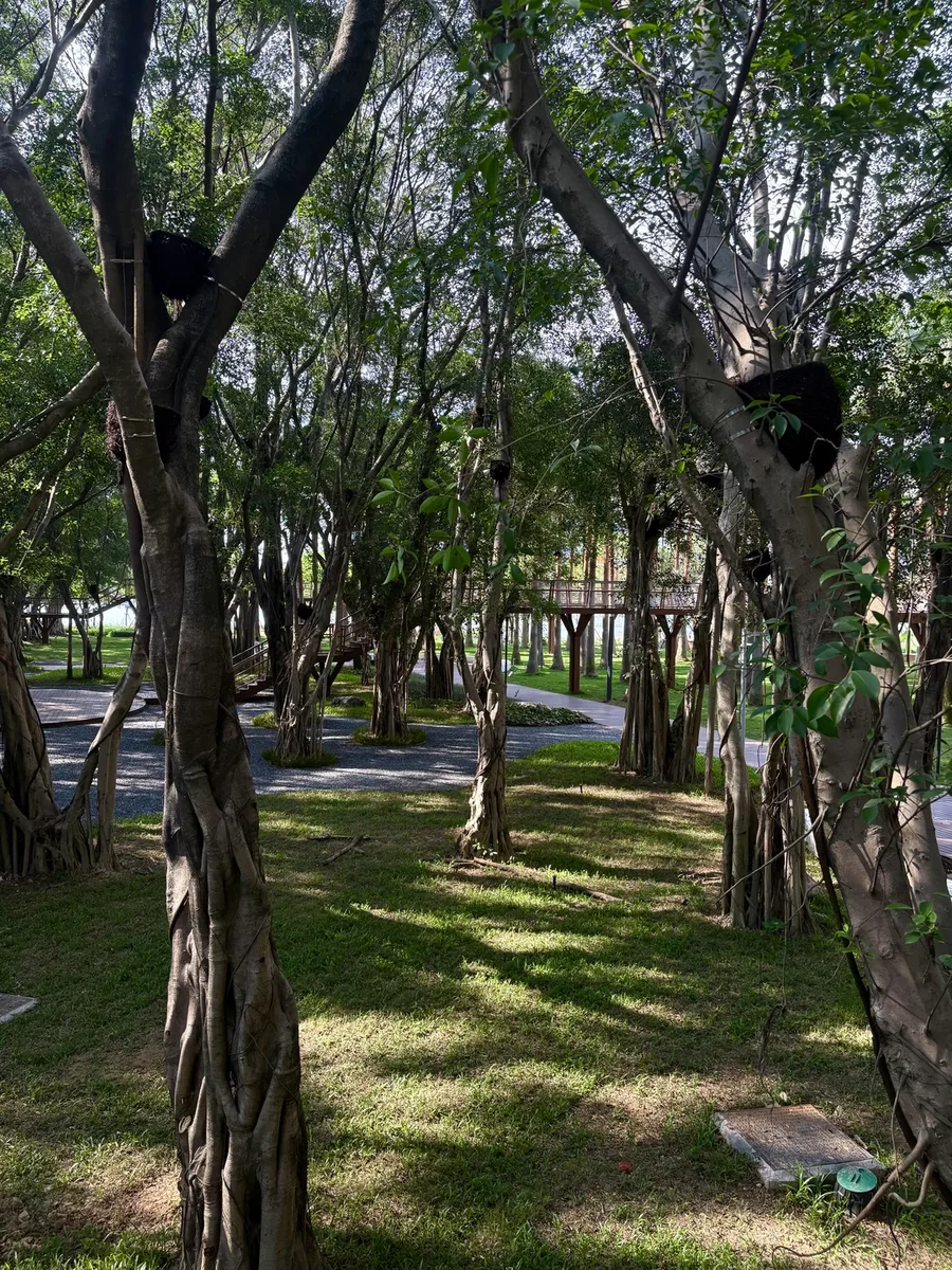 五角场茶馆探店：学生党也能坐一下午-茶叙