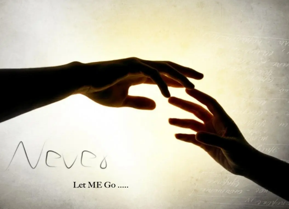 上海高端相亲平台(上海顶级相亲平台)